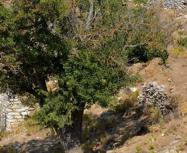 Apartamento με θέα το χωριό & το όρος ζευς! *