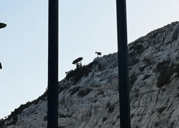 με θέα το χωριό & το όρος ζευς! * Apérathos